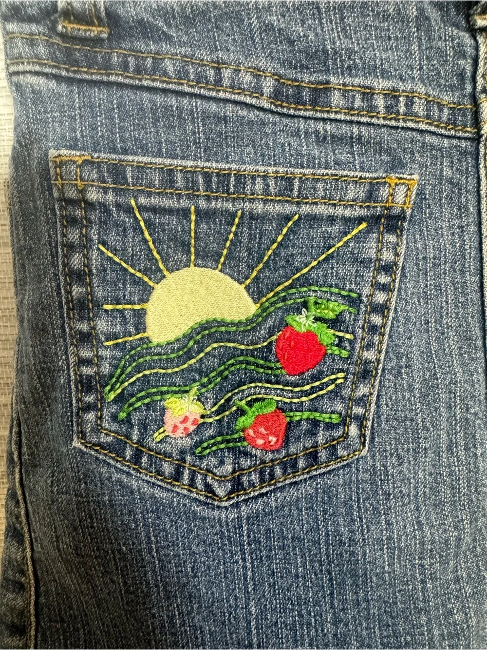 Girl’s Gymboree Strawberry Embroidered Denim Skirt Size 5 Slim